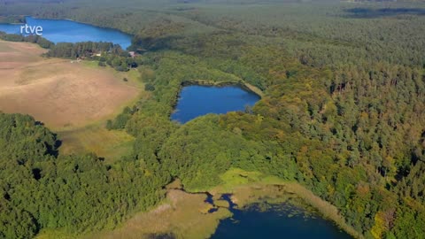 La fauna y la flora de los lagos secretos