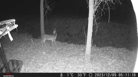 December Bucks North Carolina