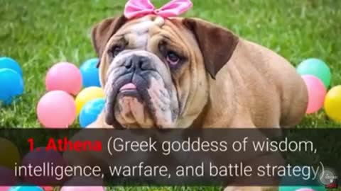 Top ten most strongest names of female dogs and meaning…