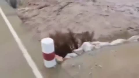 Flash Floods Caught On Camera Many People Die In Flood