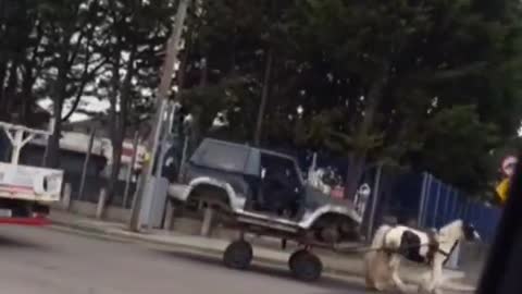 Horse-Drawn Car