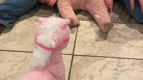 Baby isn't a Fan of Toy Pony