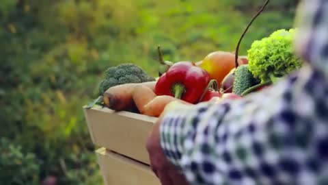 Harmonia de Jeová em cada ser vivo e na natureza