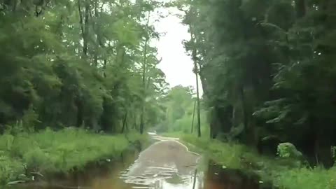 Post Hurricane Debby - Edisto River Access Rd