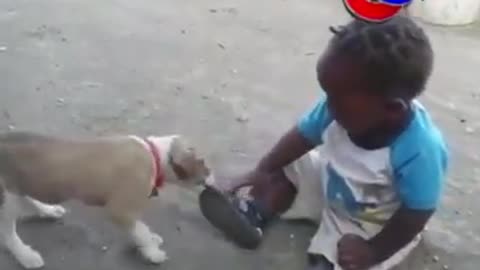 He is angry then bites the dog in the skull😂