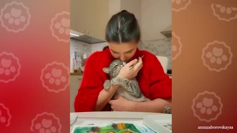 Owners are CRYING, you are LAUGHING! - Funny ANNOYING & TROUBLEMAKING CATS