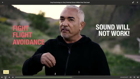 Cesar Millan. Put Away The Noise And Listen To The Message. Psychology Versus Training.