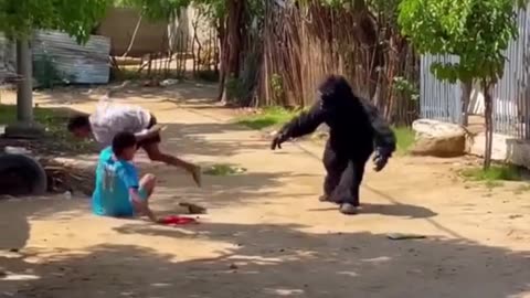 16_ape🦍🦍 #prank #pranks #troll #trolls #prankvideo #funny #funnyvideos #london #cambridge #fypシ