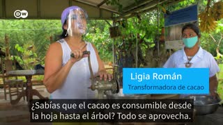 [Video] ¿Sabías que el cacao se consume desde la hoja hasta el árbol?