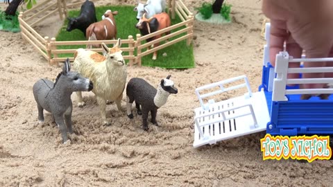 Red Tractor Brought Four Sheeps From Field and Put Them in a Pen