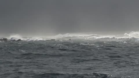 Sea Storm