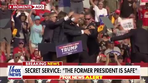 WATCH: Moment Trump appears to be shot at rally