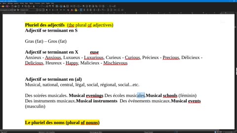 French 4 (complement) plural of nouns and adjectives