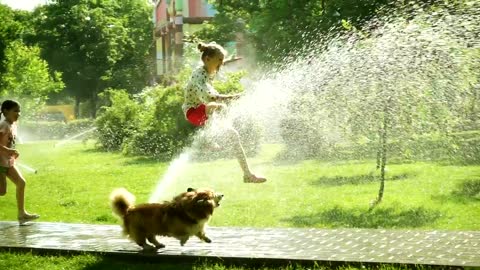 Girls playing with dog in the park