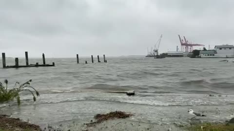 Fernandina Beach, Florida - The Noreaster - 10am 11/6/21 #2 of 4