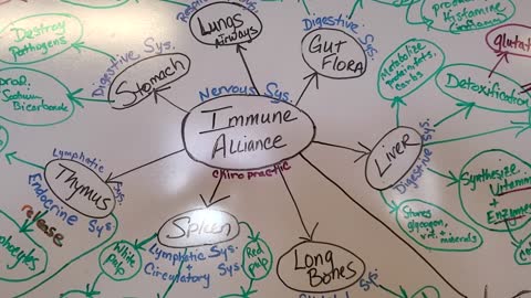 Introduction to your Immune Alliance