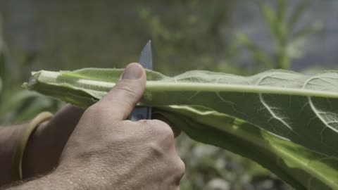 Gerber ZILCH Folding Knife at Aussie Storm Shop