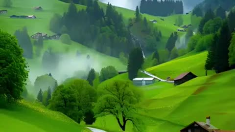 Beautiful green land