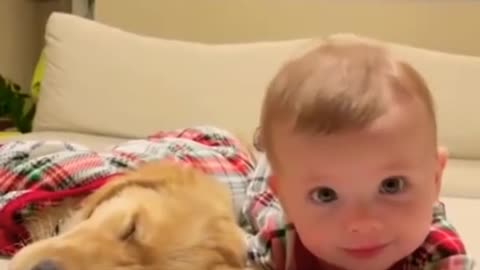 cute baby and dog sharing love and sleeping like brothers