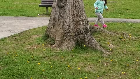 Squirrel playa with Toddler. And wins.