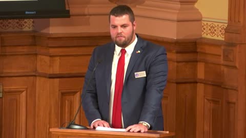 Michael Braun - Georgia State Capitol - Joint Reapportionment Hearing