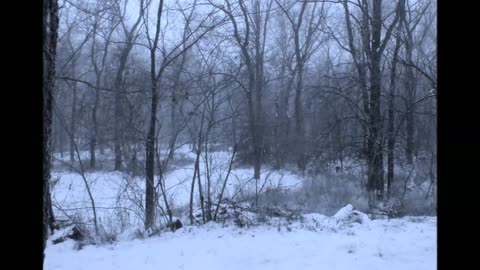 Cold Frosty Morn A short banjo tune.