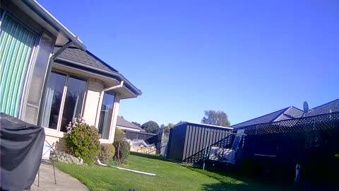 Nice to see SUN Today in Christchurch NZ, Charlies being Norty woofing at Postie -The Out There Chan