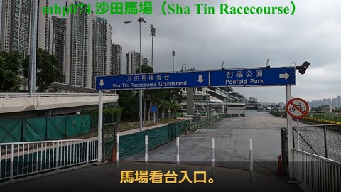 #沙田馬場 Sha Tin Racecourse, mhp074 /05 2020