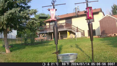 Checking out squirrel feeder