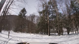 Pennsylvania Elk Day Trip 2_11_2021 Part 2