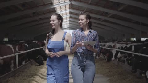 Portrait two girls farmers making a tour of the barn with cows on the farm