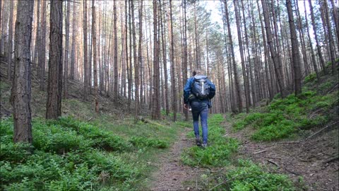 Myšpule Svět . org - O netopýru, opici a zapomenutém srubu