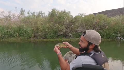 Short: Cutest smallmouth ever on the Snake River