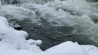 Tiny pond waterfall