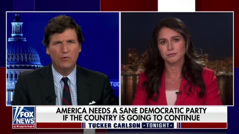 Tulsi Gabbard highlights the need to work together with the goal of improving everybody's lives