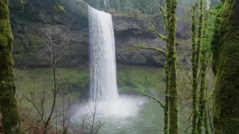 Relaxing Waterfall Nature Sound of Water Forest