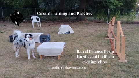 Circuit Training and Practice afternoon clip 3