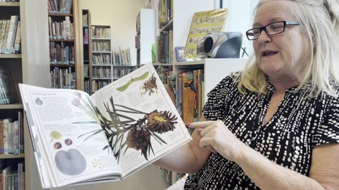 Visiting Florida's "Living Learning Library"! Why Modern Books Dazzle but Fail to Teach! Viva Family