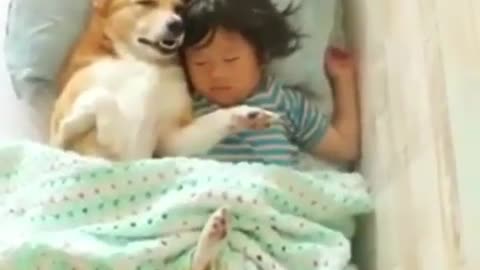 Dog Sleeping with Baby