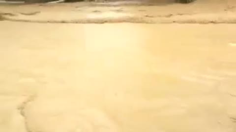 horrific flash floods in vietnam