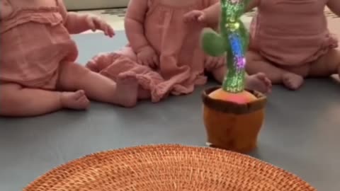 Funny Babies playing with the cactus toy