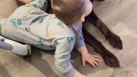 Funny Baby Gif