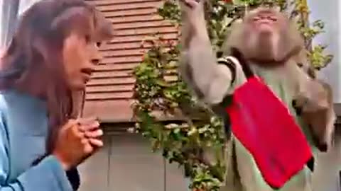 😂 Monkey Kicks Girl in the Face! Funniest Moment Ever! 🐒💥🤣