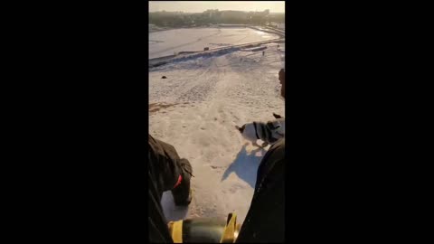 Skiing with my dog