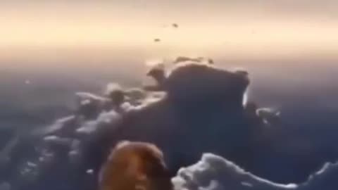 Dog dropped from plane