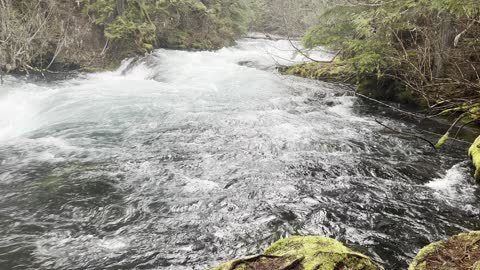 Gorgeous Unnamed Waterfall on Sahalie Falls & Koosah Falls Loop – Central Oregon – 4K