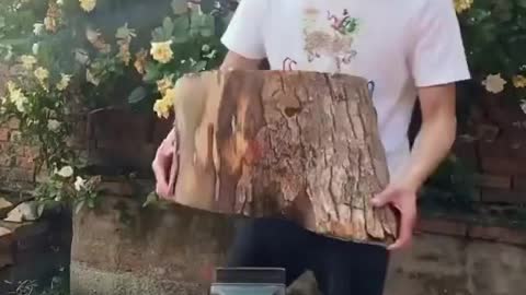 Basketball Out of Tree Trunk