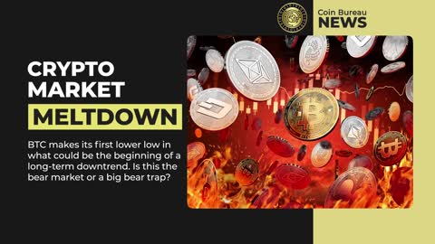 Crypto News: Bear Market, CRO Rewards, SEC, NFTs & MORE!!