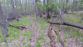 Honda CRF250F Trail Riding #15