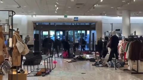 California Nordstrom ransacked in huge 'flash mob' smash and grab